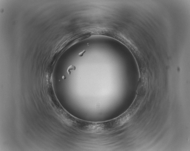 X0000067490117200604071214