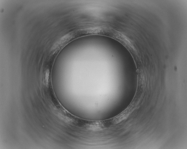 X0000067490118200604071214