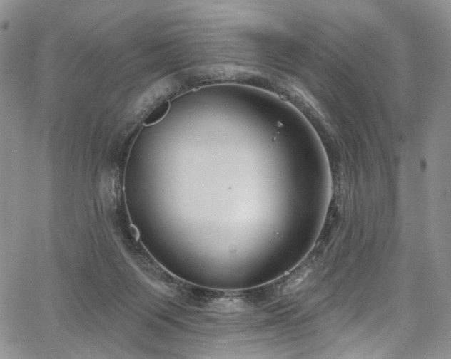 X0000067490119200604071214