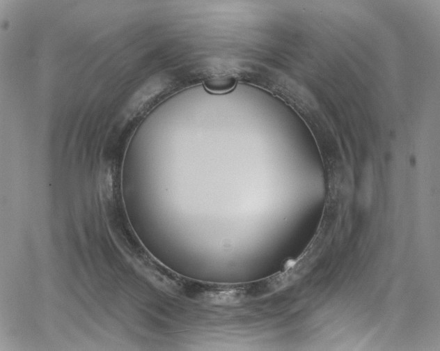 X0000067490120200604071214