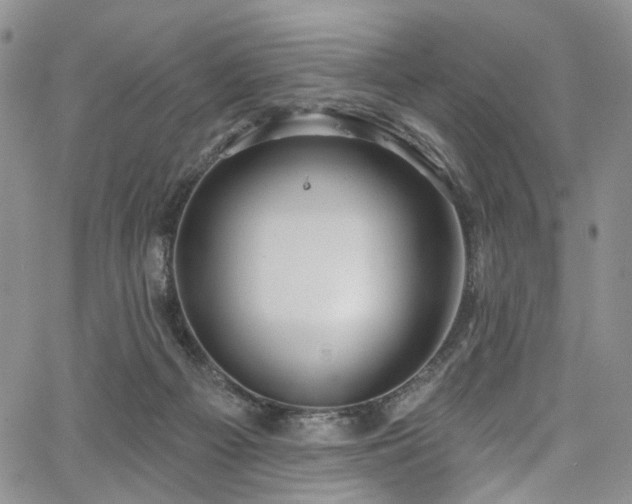 X0000067490121200604071214