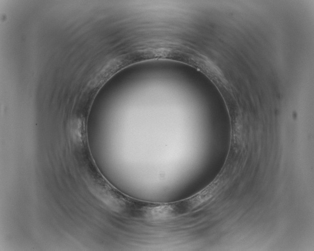 X0000067490122200604071214