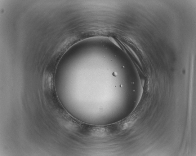 X0000067490123200604071214