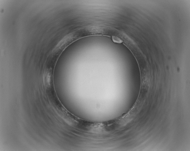 X0000067490124200604071214