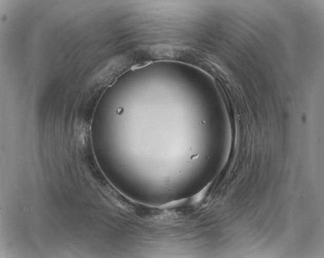 X0000067490125200604071214