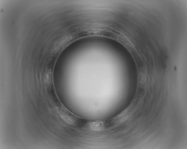 X0000067490126200604071214