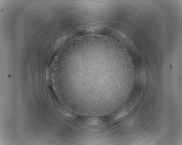 X0000067490127200604071214