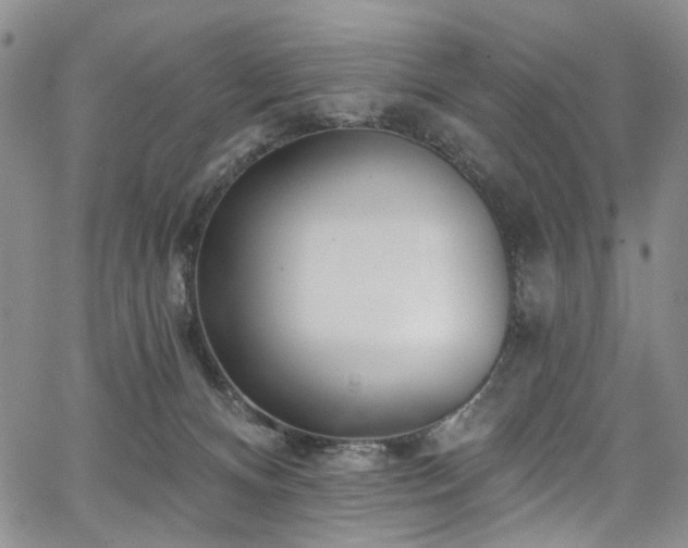 X0000067490128200604071214