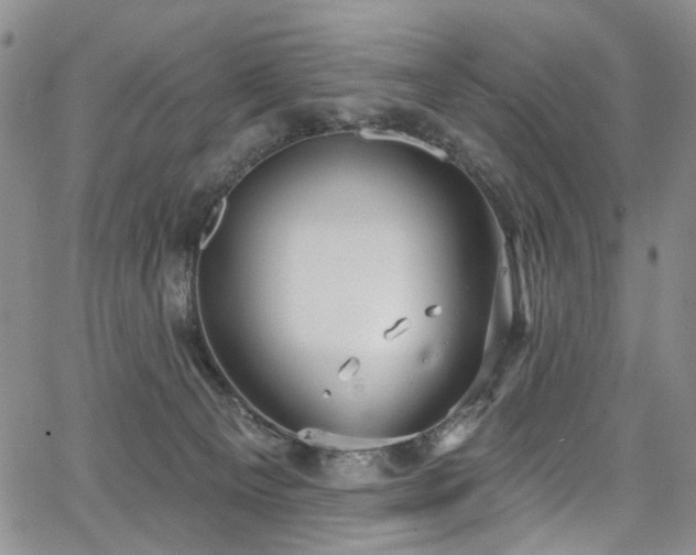 X0000067490129200604071214