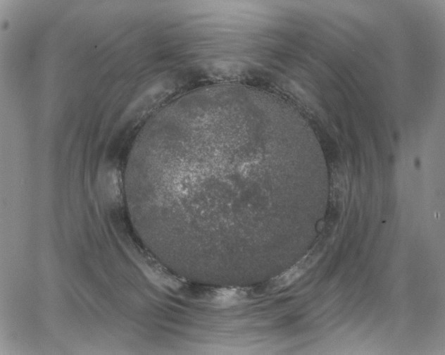 X0000067490130200604071213