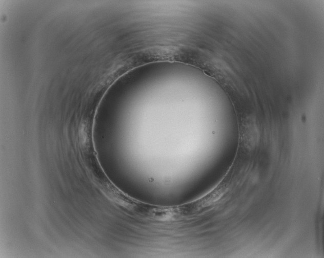 X0000067490131200604071213