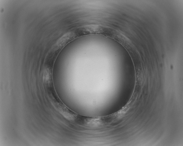 X0000067490132200604071213