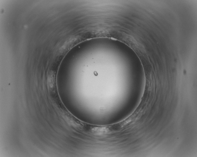 X0000067490133200604071213