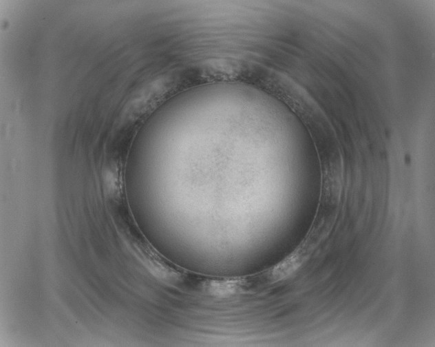 X0000067490134200604071213