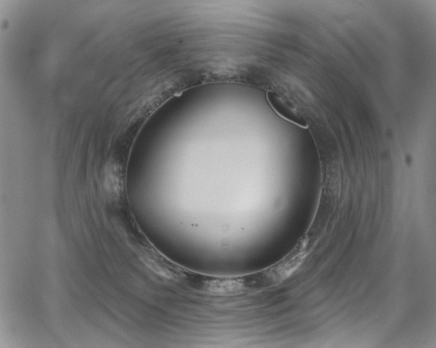 X0000067490135200604071213