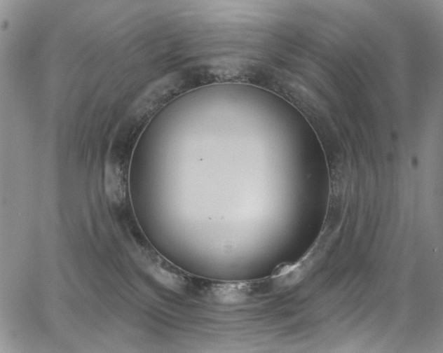 X0000067490136200604071213