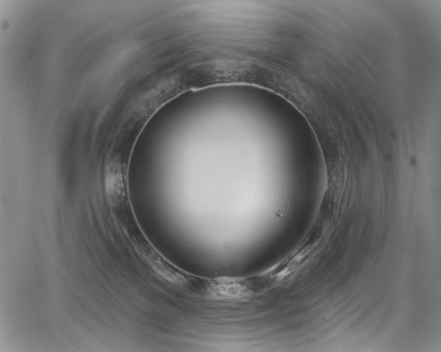 X0000067490137200604071213