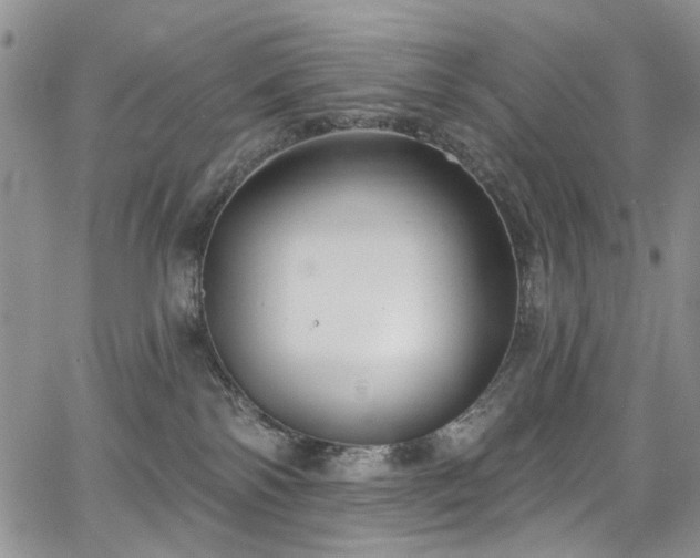 X0000067490138200604071213