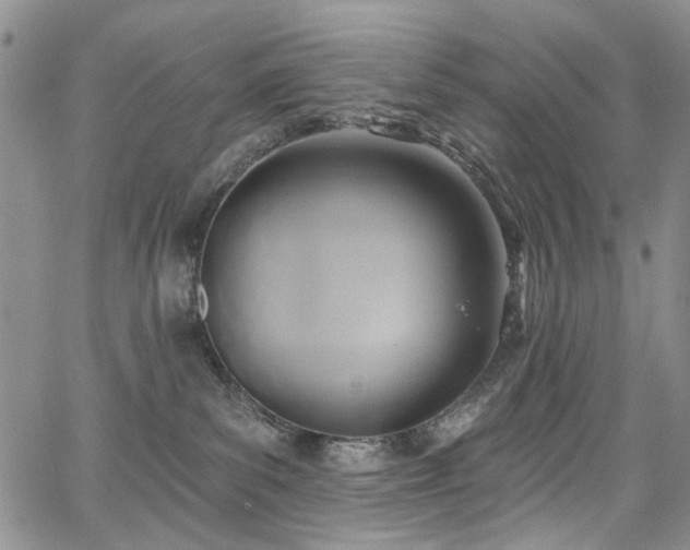 X0000067490139200604071213