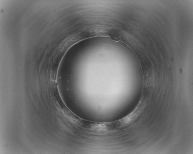 X0000067490140200604071213