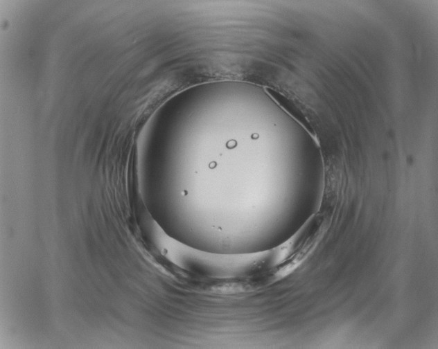 X0000067490141200604071213