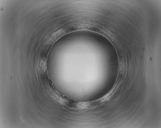 X0000067490142200604071213