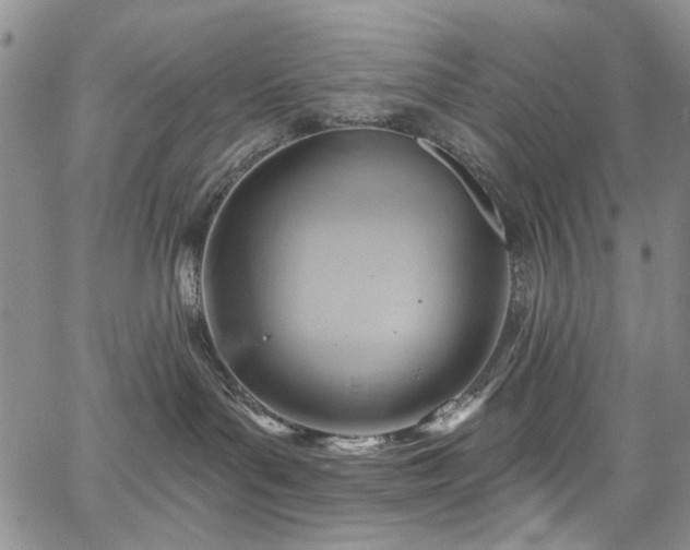 X0000067490143200604071213