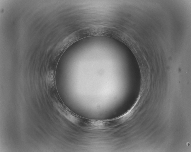 X0000067490144200604071213