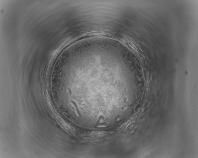 X0000067490145200604071212