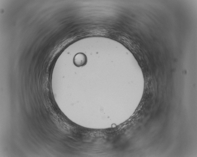 X0000067490146200604071212