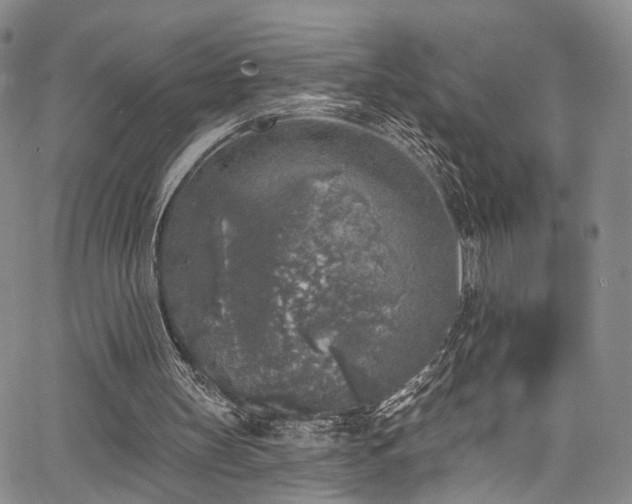 X0000067490147200604071213