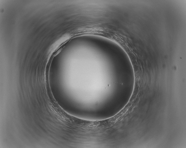 X0000067490148200604071213