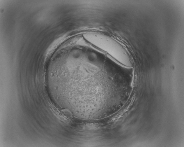 X0000067490149200604071213