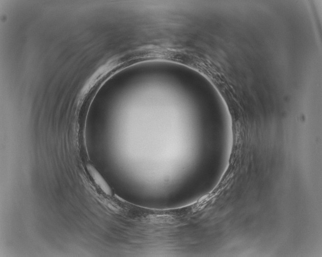 X0000067490150200604071213