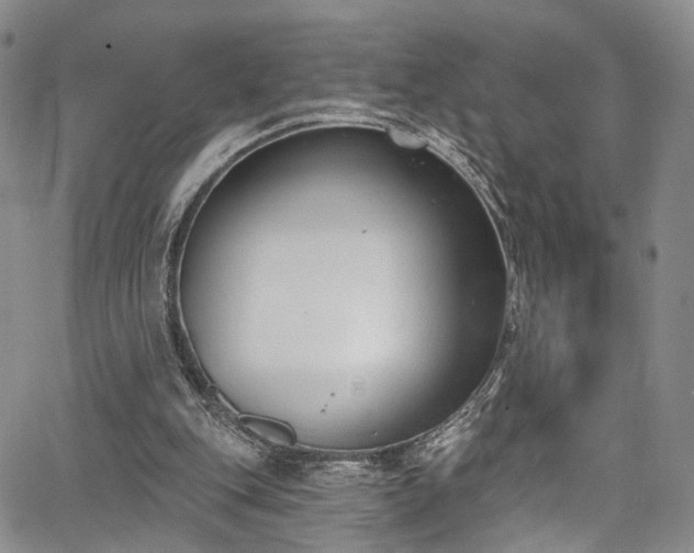 X0000067490151200604071213