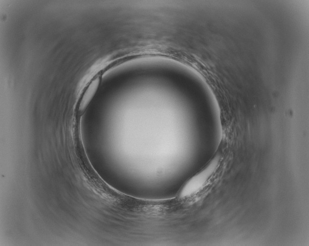 X0000067490152200604071213