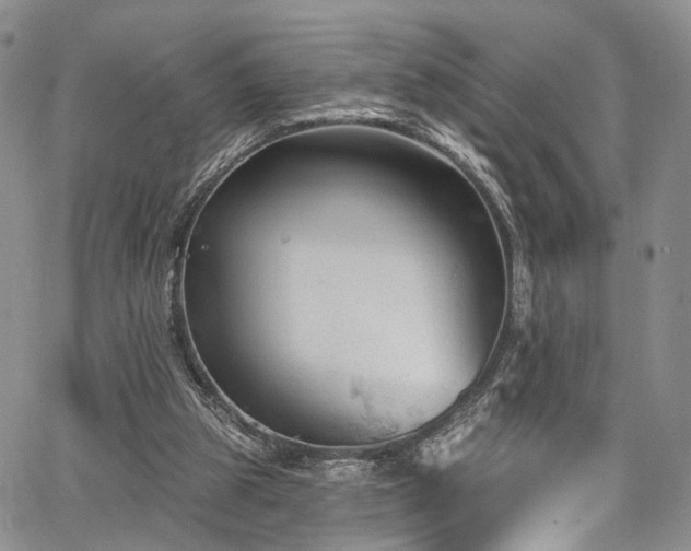 X0000067490153200604071213