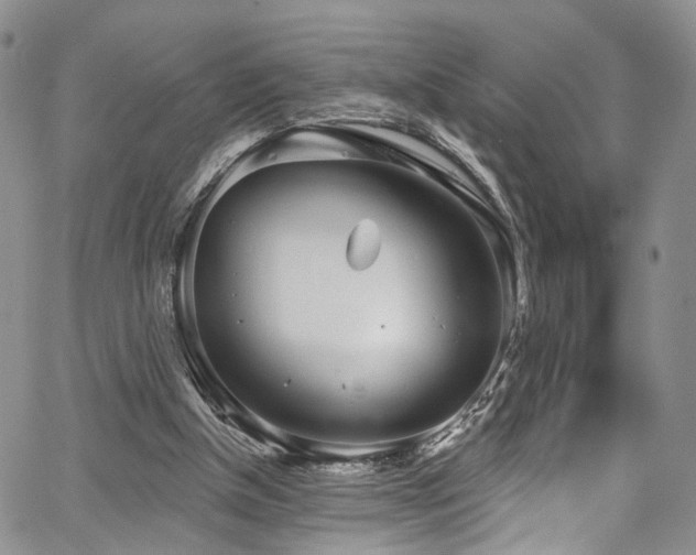 X0000067490154200604071213