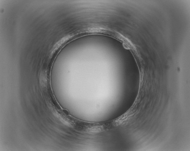 X0000067490155200604071213