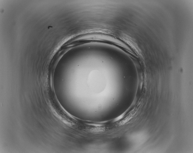 X0000067490156200604071213