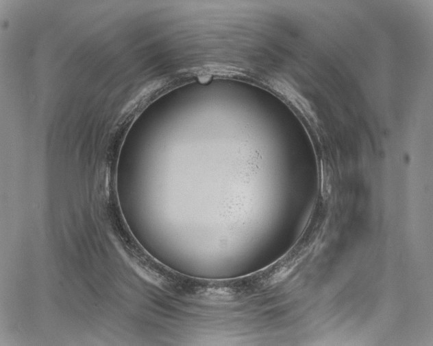 X0000067490157200604071213