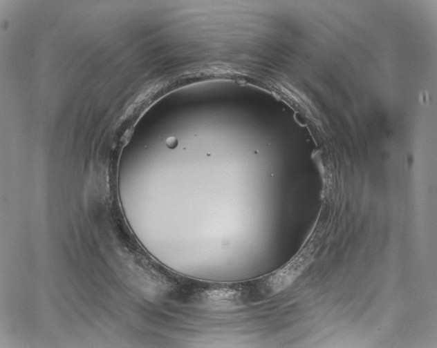 X0000067490158200604071213