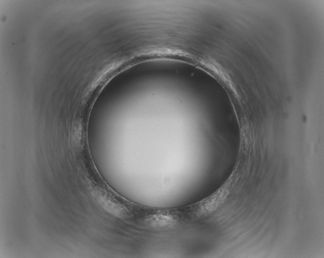 X0000067490159200604071213