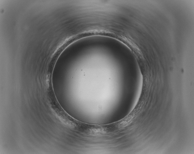 X0000067490160200604071213