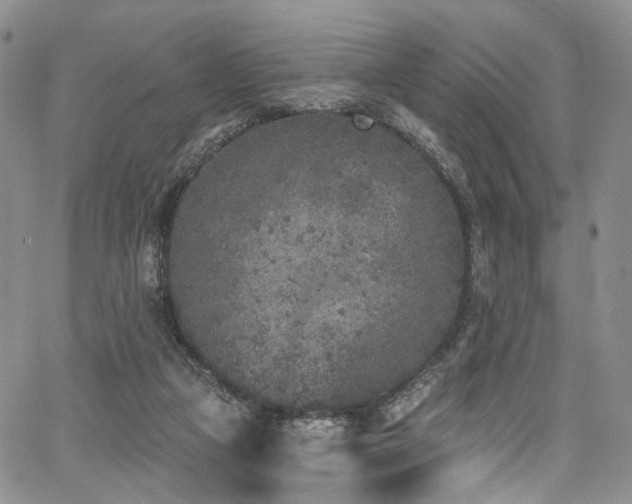 X0000067490161200604071213