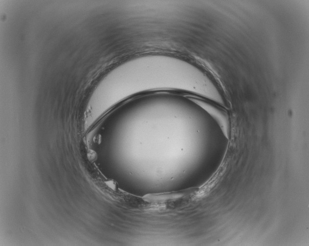 X0000067490162200604071213