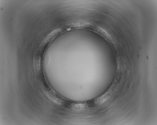 X0000067490163200604071213