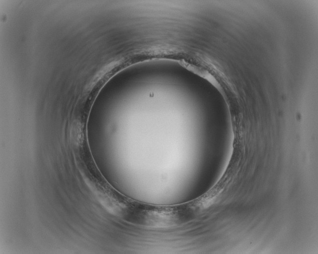 X0000067490164200604071213