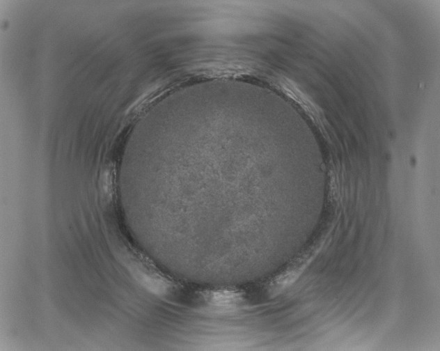 X0000067490165200604071213