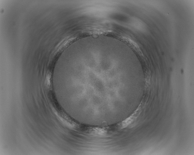 X0000067490166200604071213